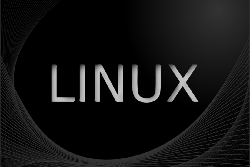 Siete navegadores más relevantes que puedes instalar en Linux (2022).